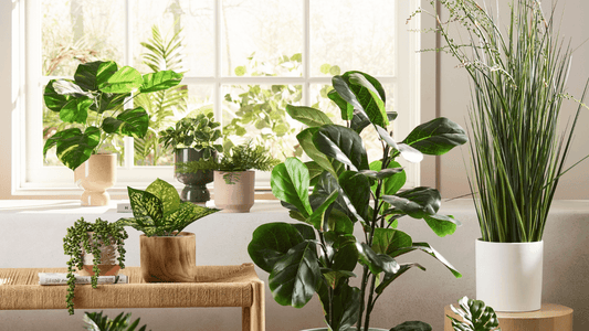 How to make fake plants look real – creating the illusion!