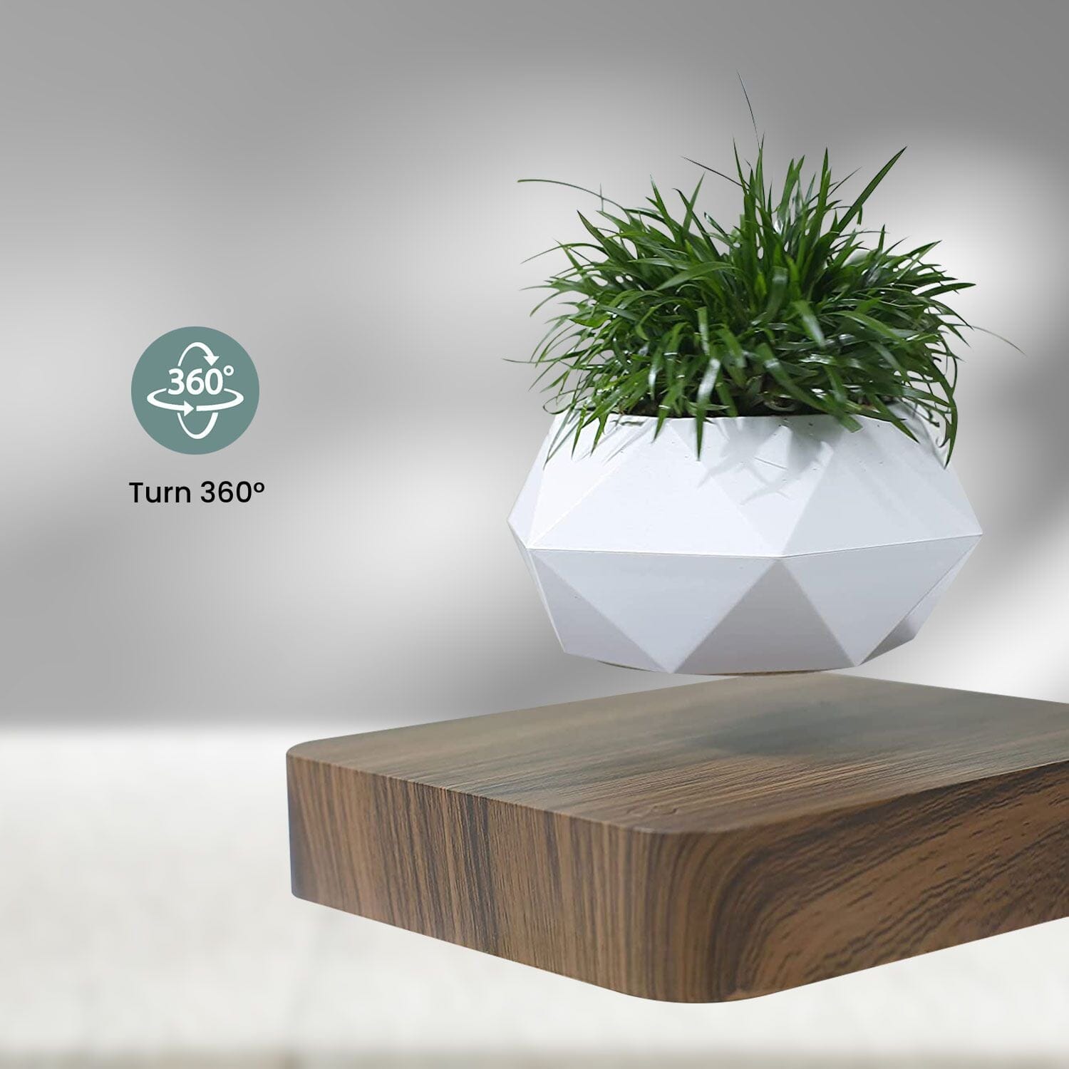 Magnetic Levitating Plant Pot Dark Brown Base Home & Garden > Decor ArtificialPlantBarn.com.au 