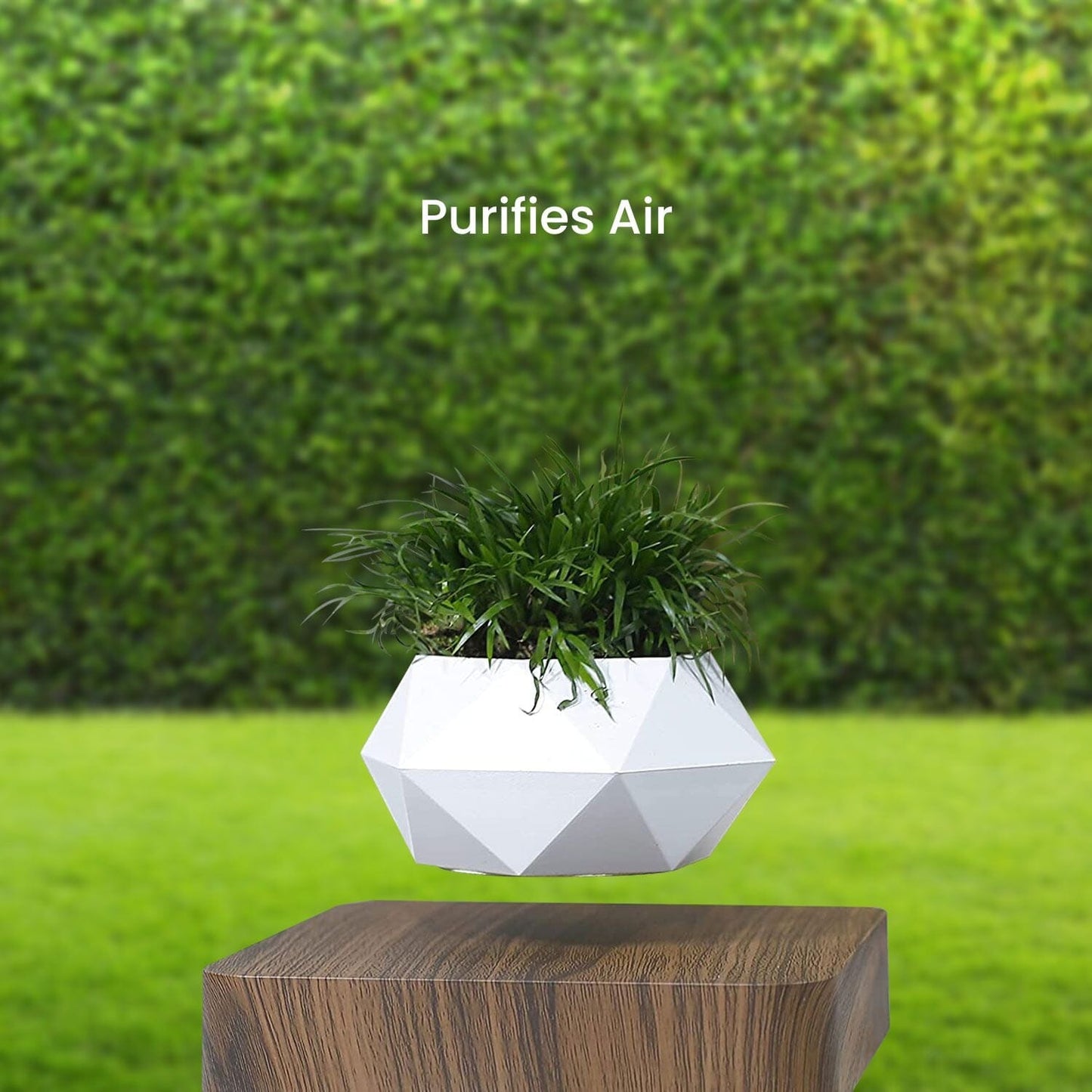 Magnetic Levitating Plant Pot Dark Brown Base Home & Garden > Decor ArtificialPlantBarn.com.au 