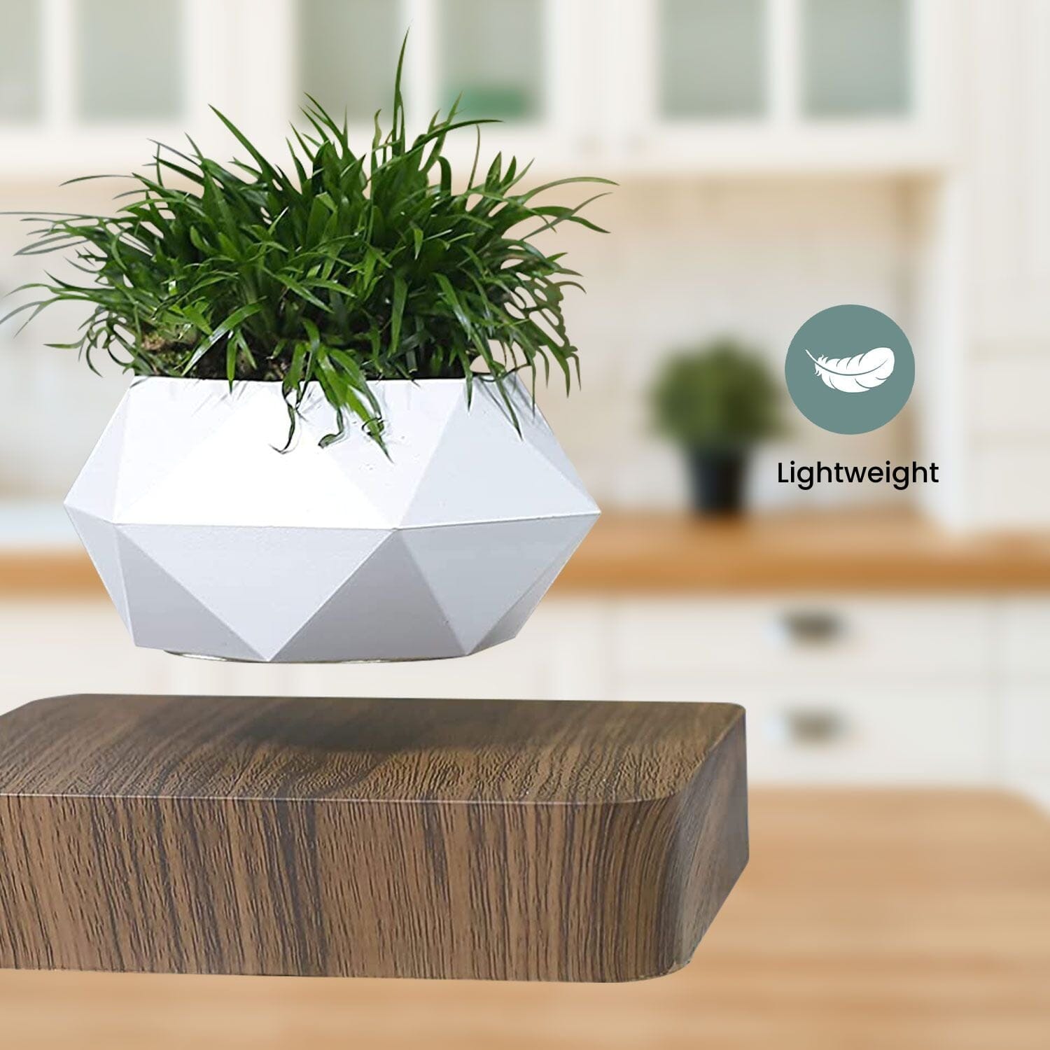 Magnetic Levitating Plant Pot Dark Brown Base Home & Garden > Decor ArtificialPlantBarn.com.au 