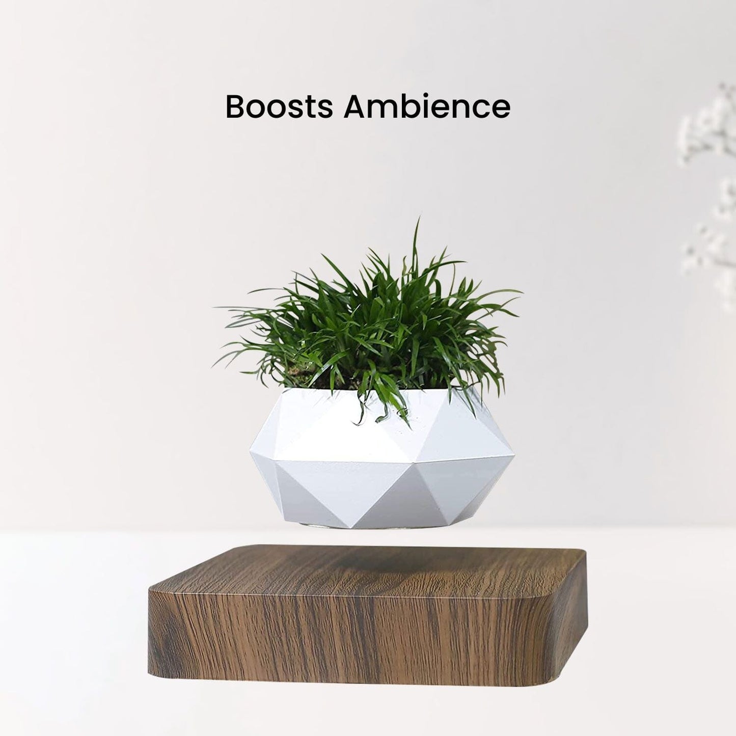 Magnetic Levitating Plant Pot Dark Brown Base Home & Garden > Decor ArtificialPlantBarn.com.au 