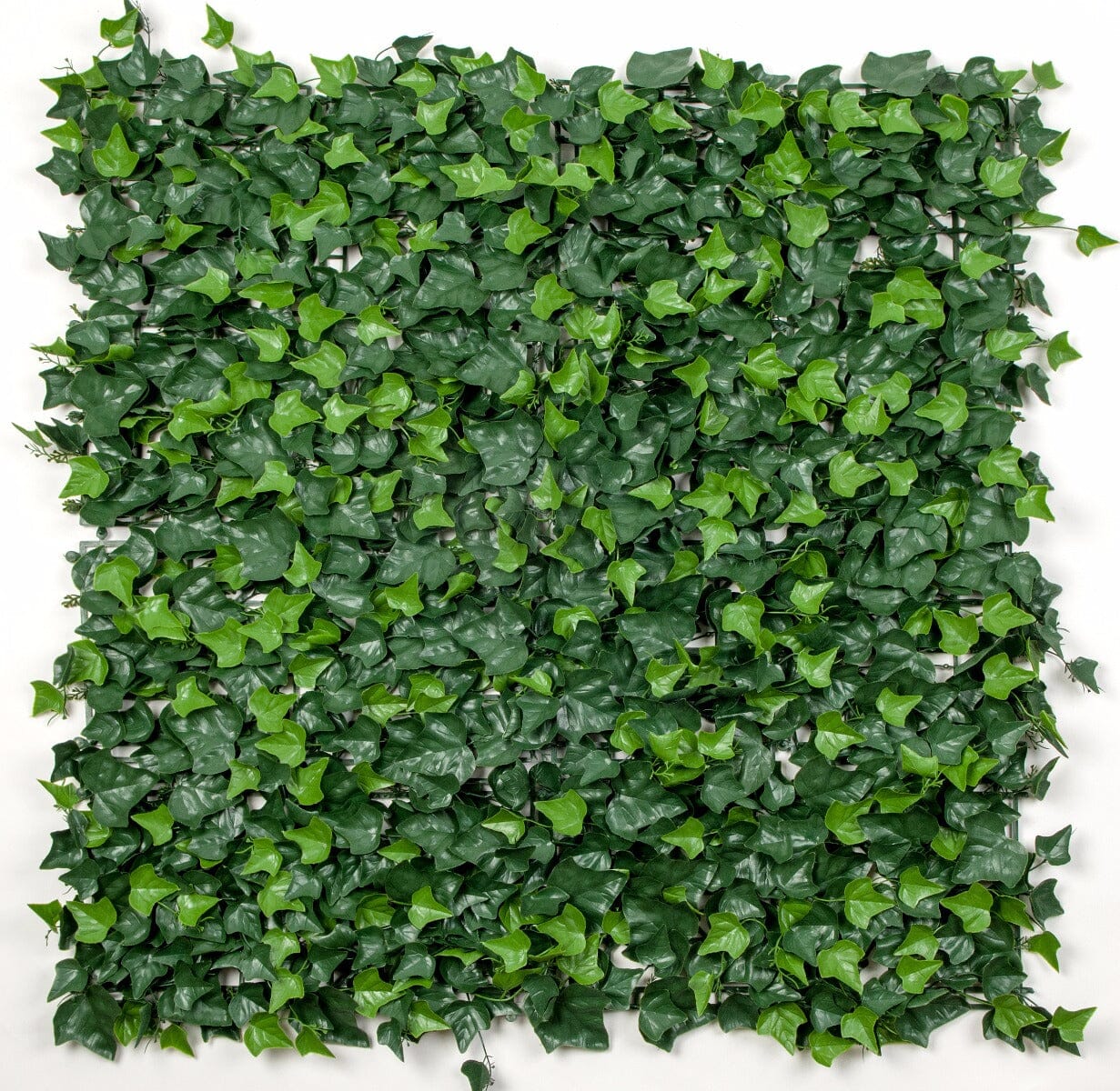 Ivy Leaf Screens / Panels UV Stabilised 1m X 1m Home & Garden > Artificial Plants ArtificialPlantBarn.com.au 