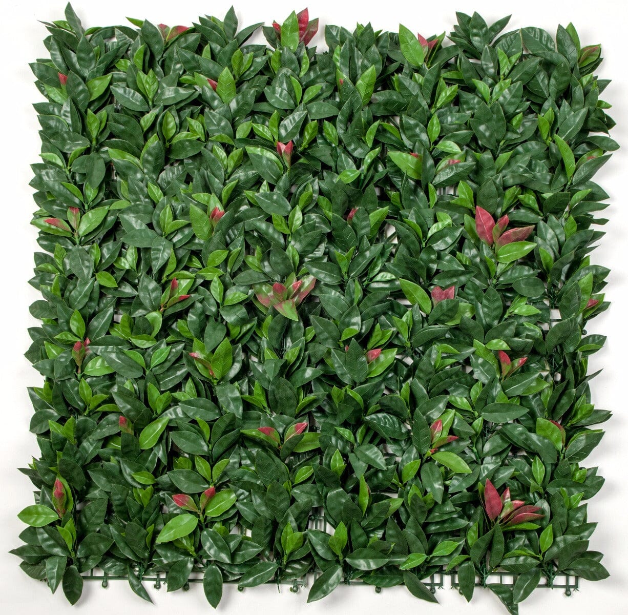 Photinia (Red Robin) Leaf Screens / Panels UV Stabilised 1m X 1m Home & Garden > Artificial Plants ArtificialPlantBarn.com.au 