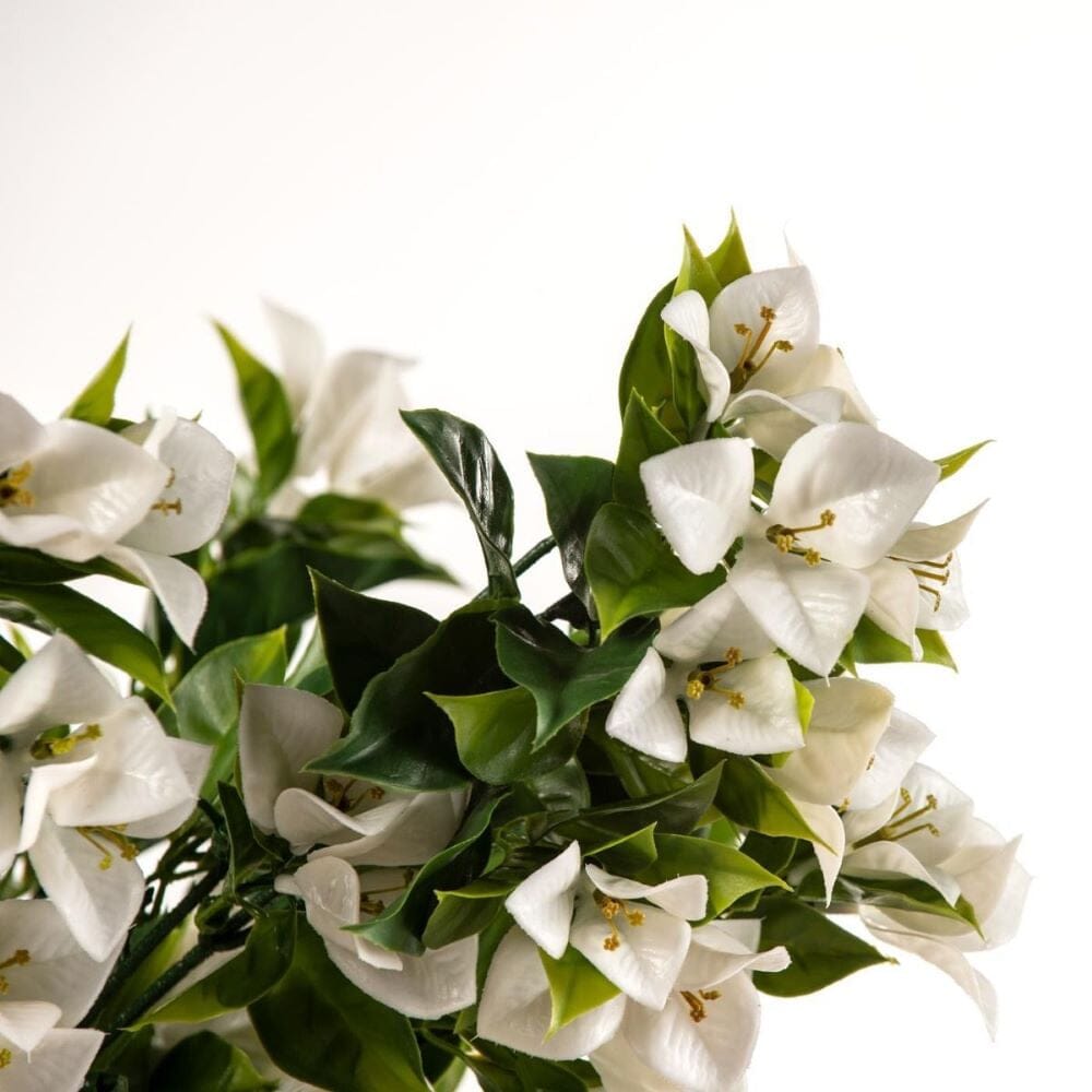 Hanging White Artificial Bougainvillea Plant UV Resistant 90cm Home & Garden > Artificial Plants ArtificialPlantBarn.com.au 