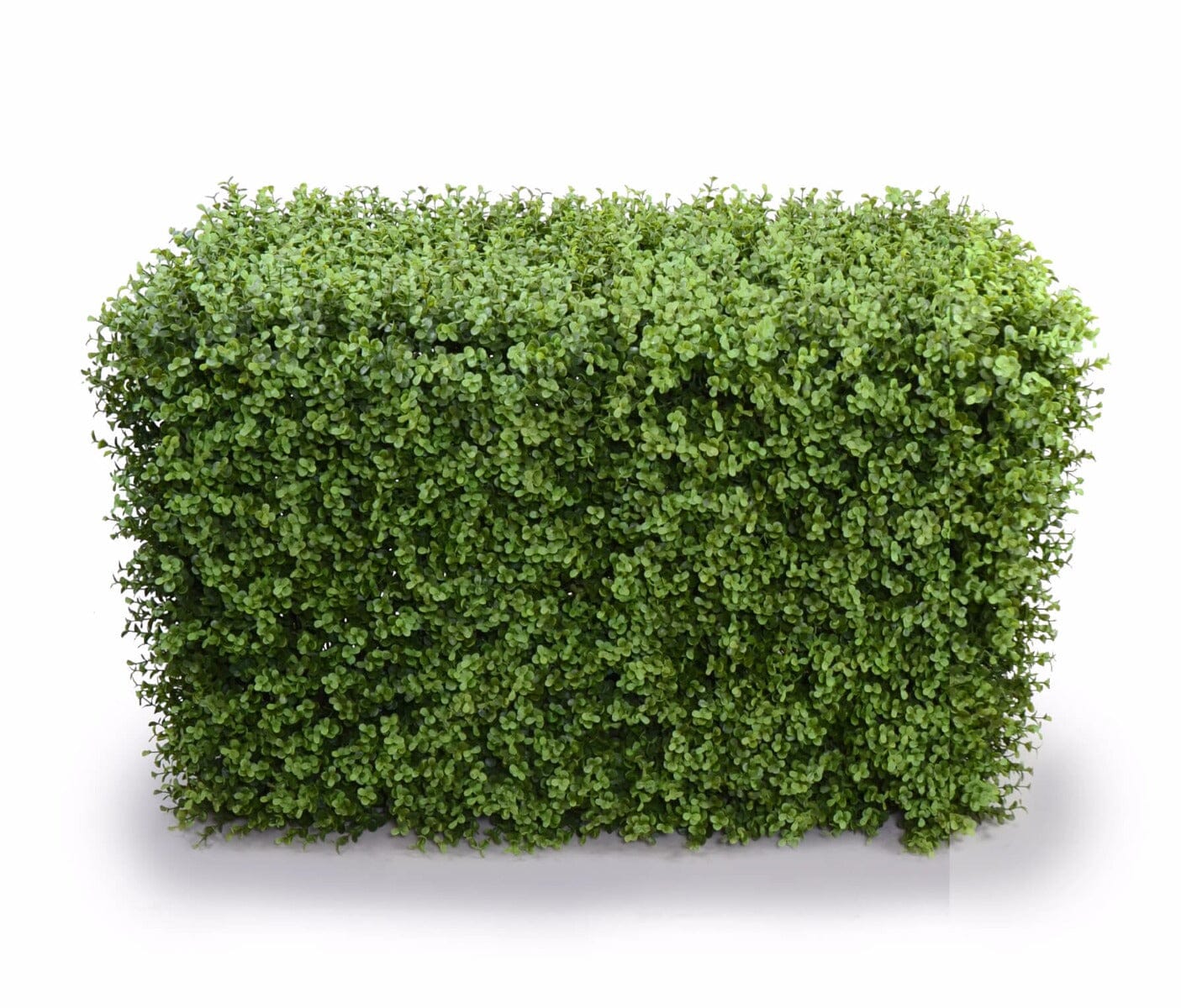 Deluxe Portable Buxus Hedges UV Stabilised 100cm Long X 55cm High Home & Garden ArtificialPlantBarn.com.au 