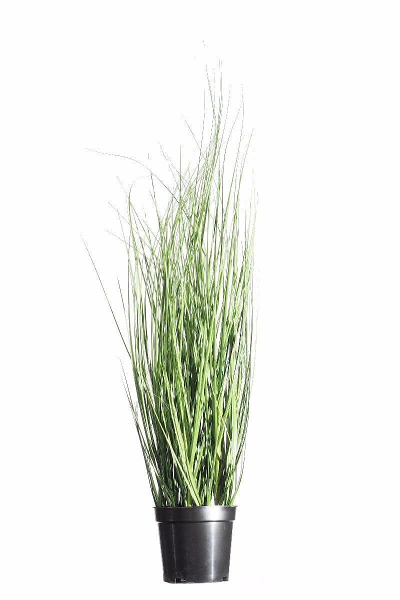 Wild Artificial Grass Plant 70cm Home & Garden ArtificialPlantBarn.com.au 