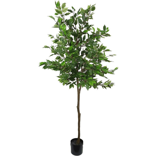 Artificial Potted Ficus Tree 160cm Home & Garden > Artificial Plants ArtificialPlantBarn.com.au 