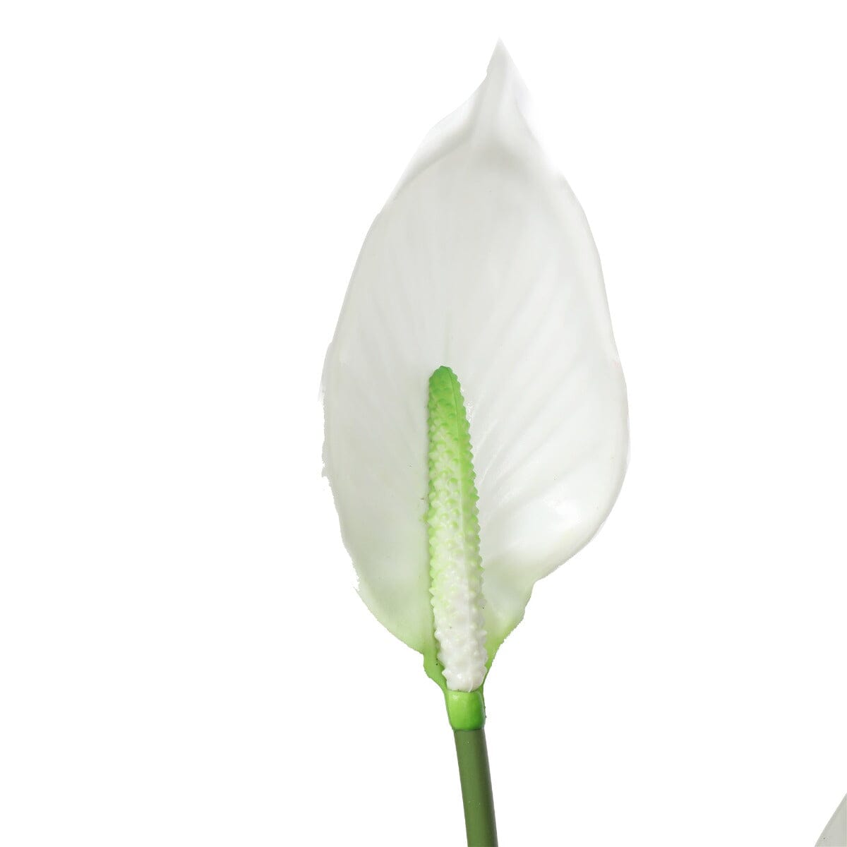 Artificial Flowering White Peace Lily / Calla Lily 95cm Home & Garden > Artificial Plants ArtificialPlantBarn.com.au 