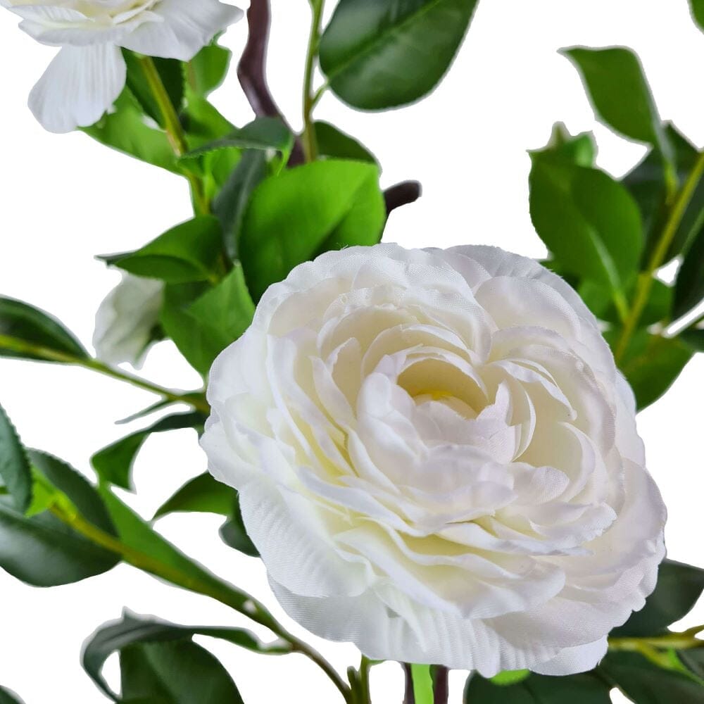 Flowering Natural White Artificial Camellia Tree 180cm Home & Garden > Artificial Plants ArtificialPlantBarn.com.au 