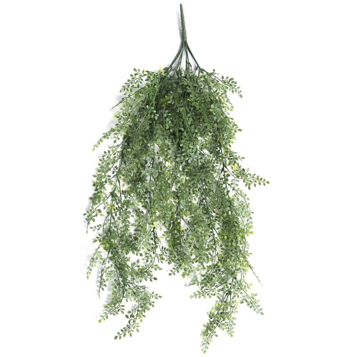 Artificial Hanging Plant (Maiden Hair Fern) UV Resistant 90cm Home & Garden > Artificial Plants ArtificialPlantBarn.com.au 