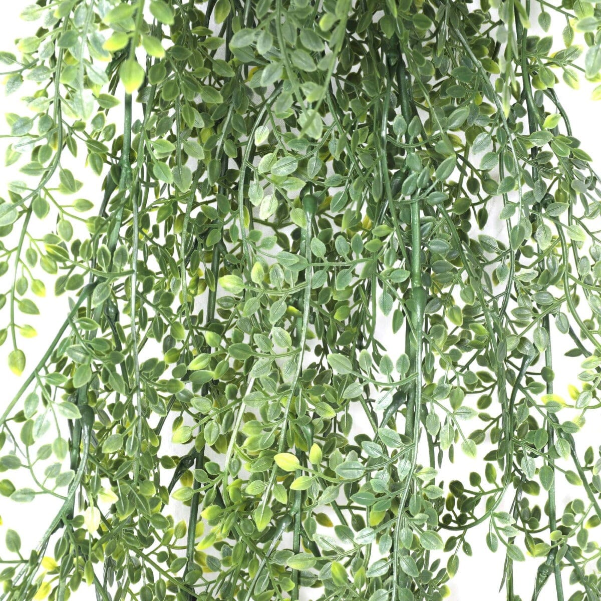 Artificial Hanging Plant (Maiden Hair Fern) UV Resistant 90cm Home & Garden > Artificial Plants ArtificialPlantBarn.com.au 