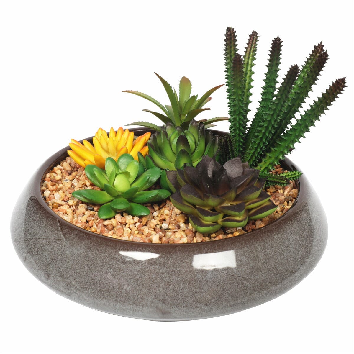 Potted Artificial Succulents with Round Decorative Bowl 19cm Home & Garden > Artificial Plants ArtificialPlantBarn.com.au 