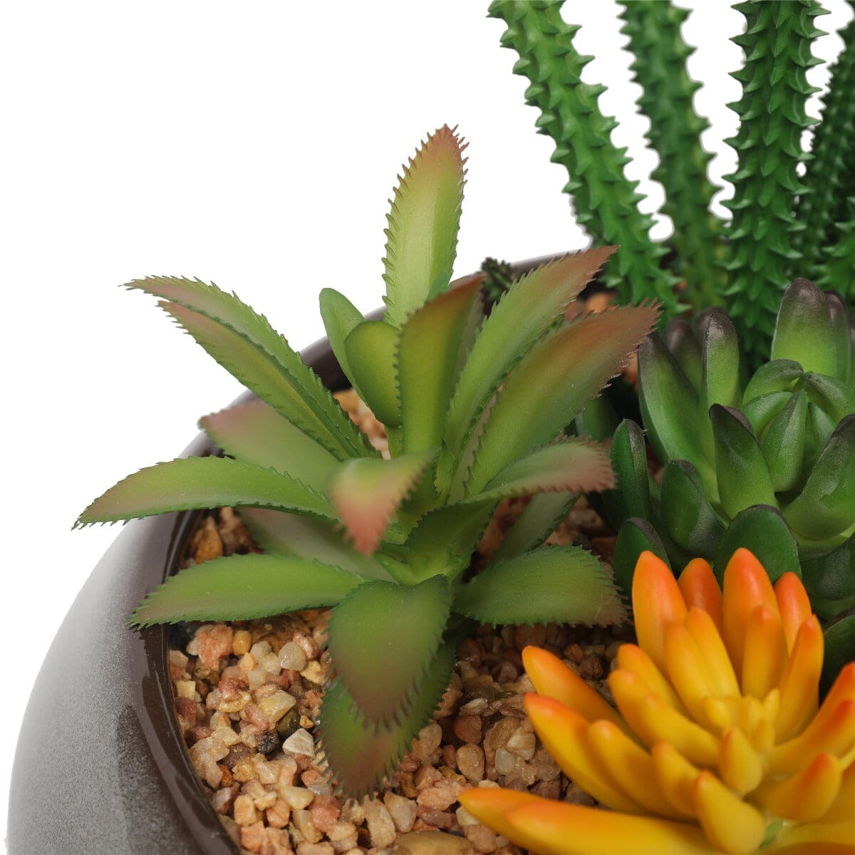 Potted Artificial Succulents with Round Decorative Bowl 19cm Home & Garden > Artificial Plants ArtificialPlantBarn.com.au 