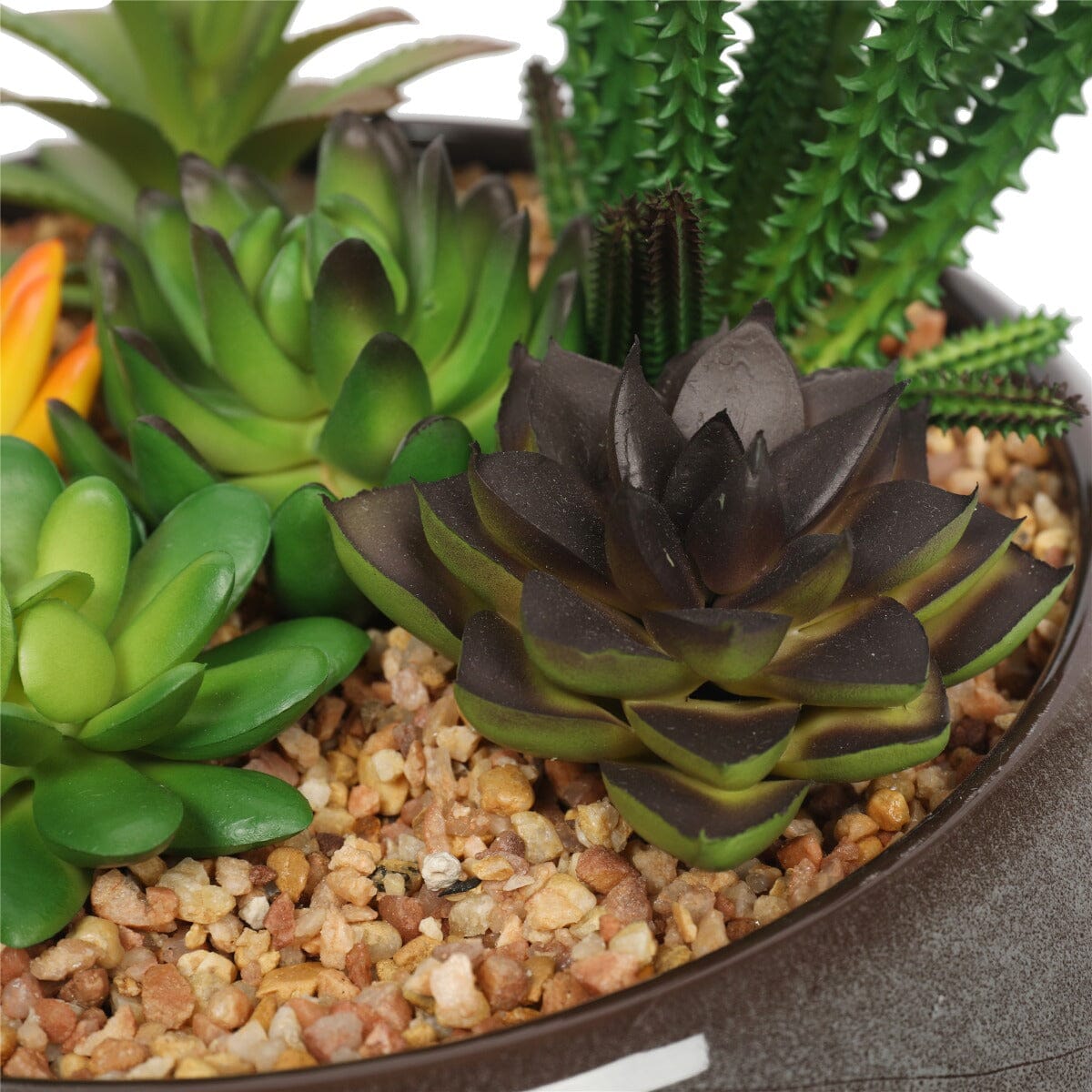 Potted Artificial Succulents with Round Decorative Bowl 19cm Home & Garden > Artificial Plants ArtificialPlantBarn.com.au 