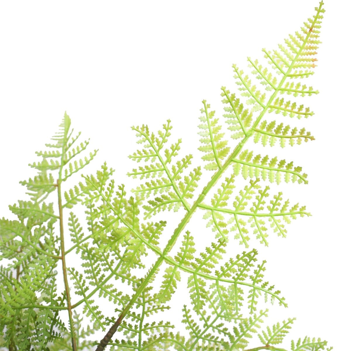 Faux Natural Fern Tree 90cm Home & Garden ArtificialPlantBarn.com.au 