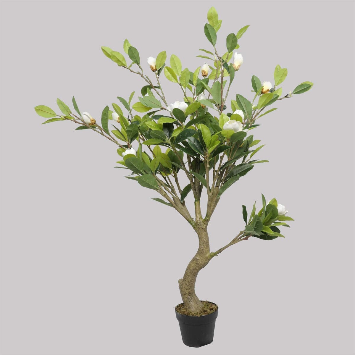 Faux White Flowering Magnolia Tree with Pot 130cm Home & Garden ArtificialPlantBarn.com.au 