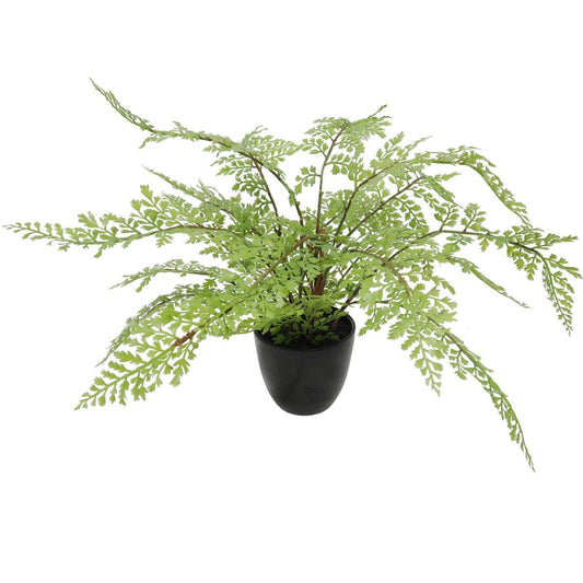 Faux Small Potted Fern 35cm Home & Garden ArtificialPlantBarn.com.au 