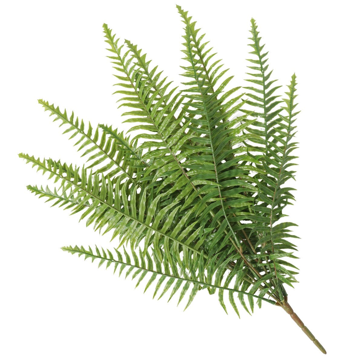 Artificial Fern (Lady Fern) 50cm UV Resistant Home & Garden > Artificial Plants ArtificialPlantBarn.com.au 