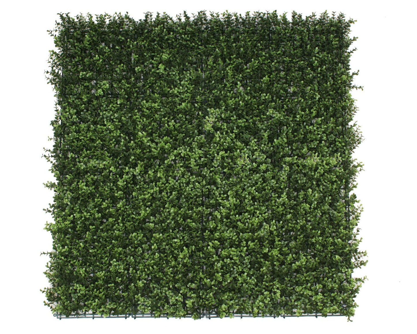 Premium Natural Buxus Hedge Panels UV Resistant 1m x 1m Home & Garden > Artificial Plants ArtificialPlantBarn.com.au 