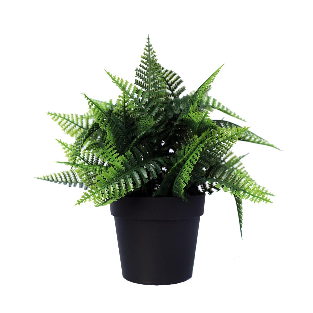 Small Potted Artificial Persa Boston Fern Plant UV Resistant 20cm Home & Garden > Artificial Plants ArtificialPlantBarn.com.au 