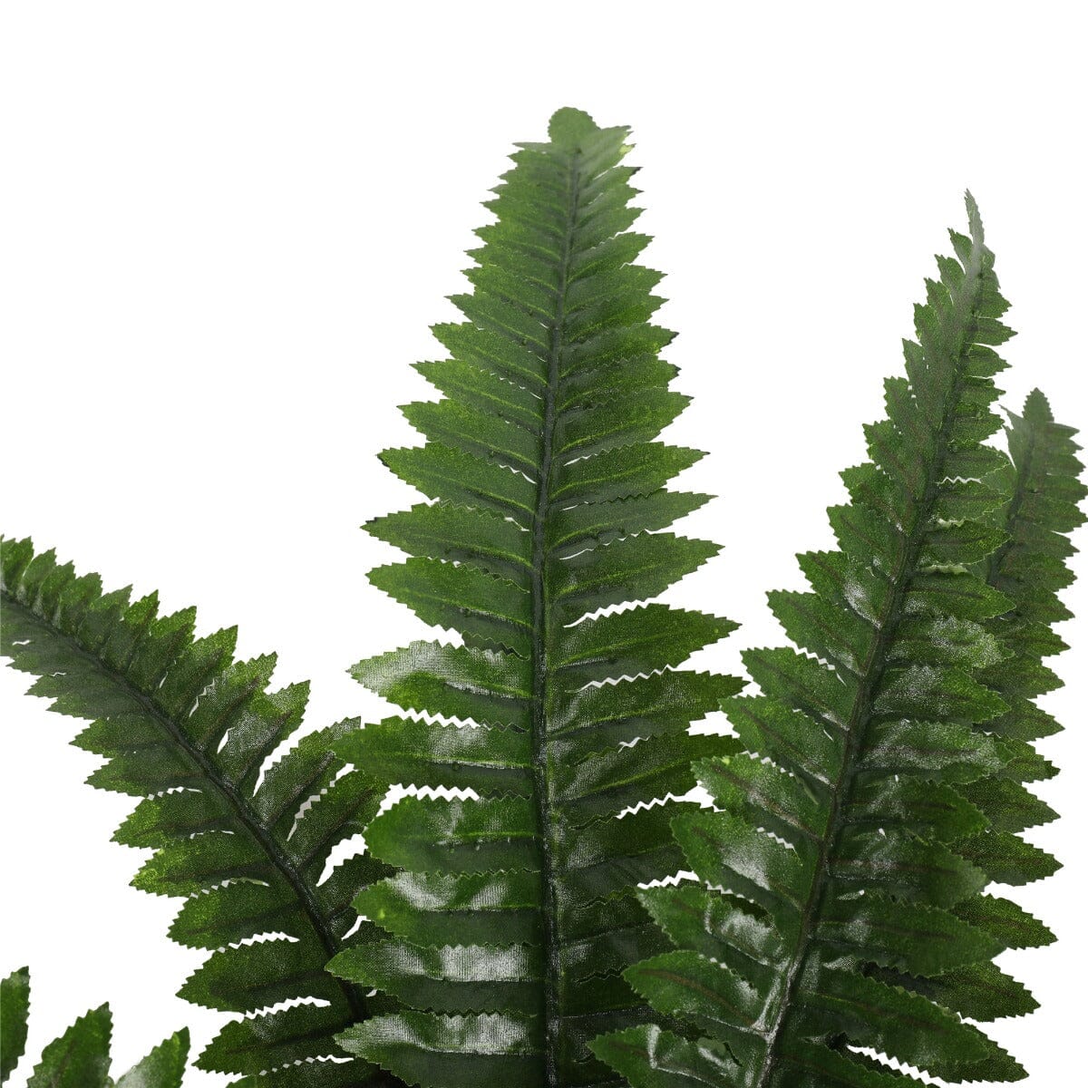 Artificial Potted Natural Green Boston Fern (50cm high 70cm wide) Home & Garden > Artificial Plants ArtificialPlantBarn.com.au 