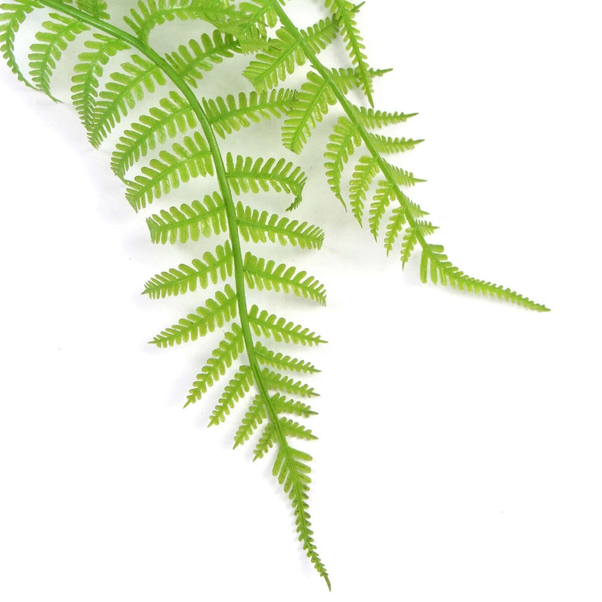 Hanging Fresh Green Boston Fern UV Resistant 80cm Home & Garden > Artificial Plants ArtificialPlantBarn.com.au 