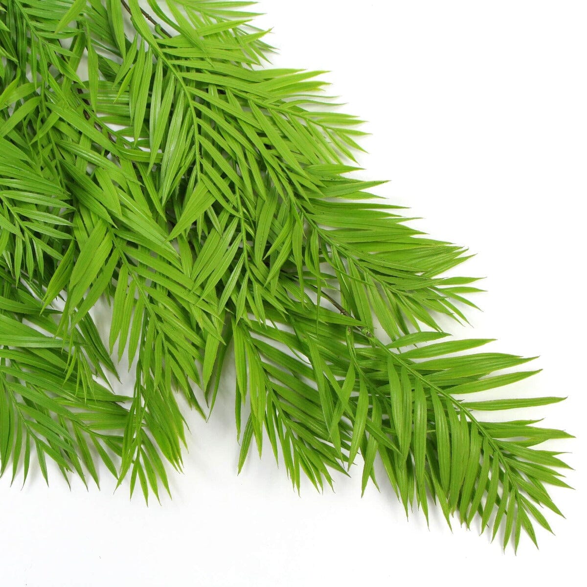 Hanging Fresh Green Bamboo Leaf Fern UV Resistant 80cm Home & Garden > Artificial Plants ArtificialPlantBarn.com.au 