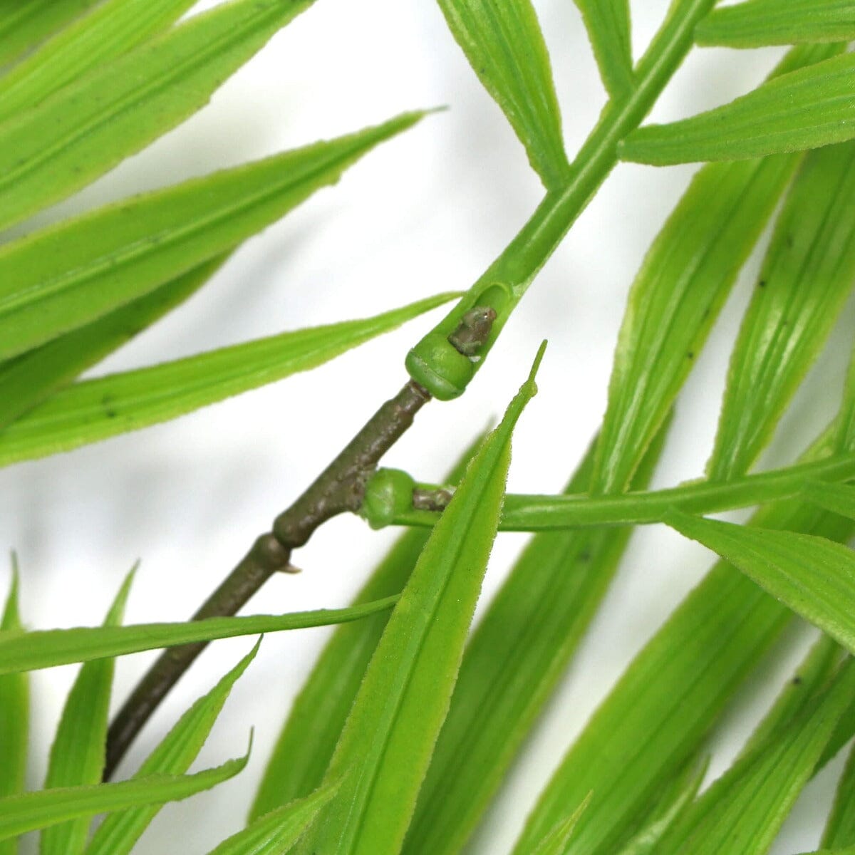 Hanging Fresh Green Bamboo Leaf Fern UV Resistant 80cm Home & Garden > Artificial Plants ArtificialPlantBarn.com.au 