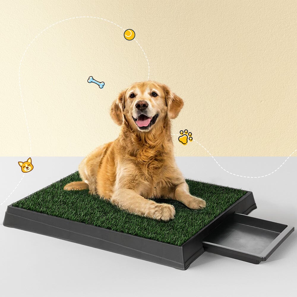 Pet Training Pad / Dog Toilet / Large Loo Portable With Tray Grass Mat Pet Care > Dog Supplies ArtificialPlantBarn.com.au 