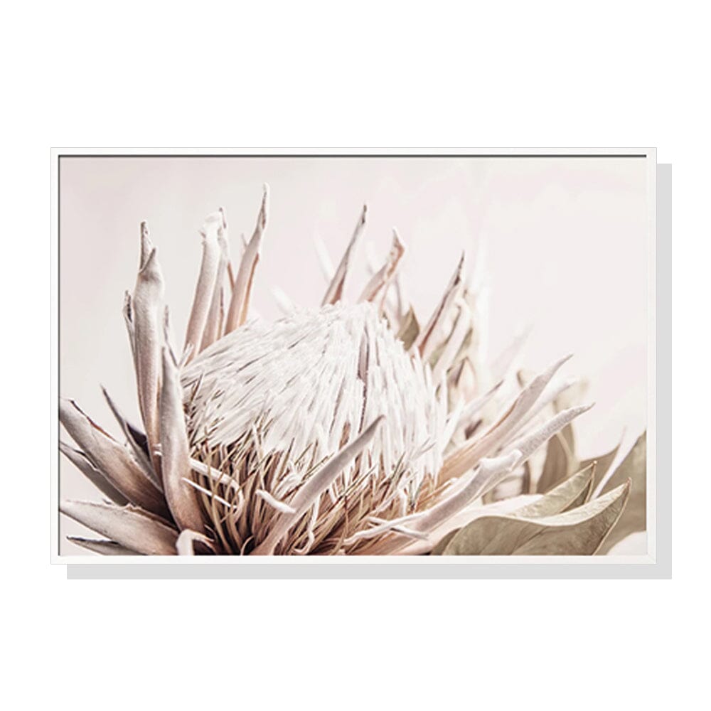 Wall Art 40cmx60cm Pure Protea II White Frame Canvas Home & Garden > Wall Art ArtificialPlantBarn.com.au 