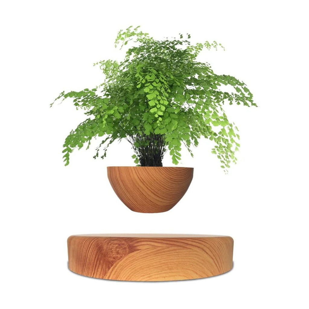 Magnetic Levitating Plant Pot Oak Home & Garden > Decor ArtificialPlantBarn.com.au 