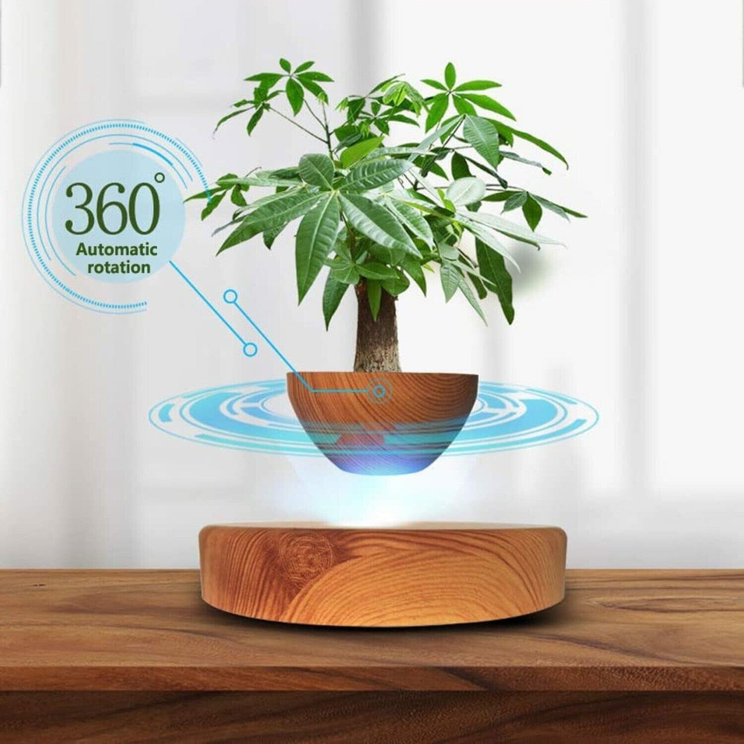 Magnetic Levitating Plant Pot Oak Home & Garden > Decor ArtificialPlantBarn.com.au 