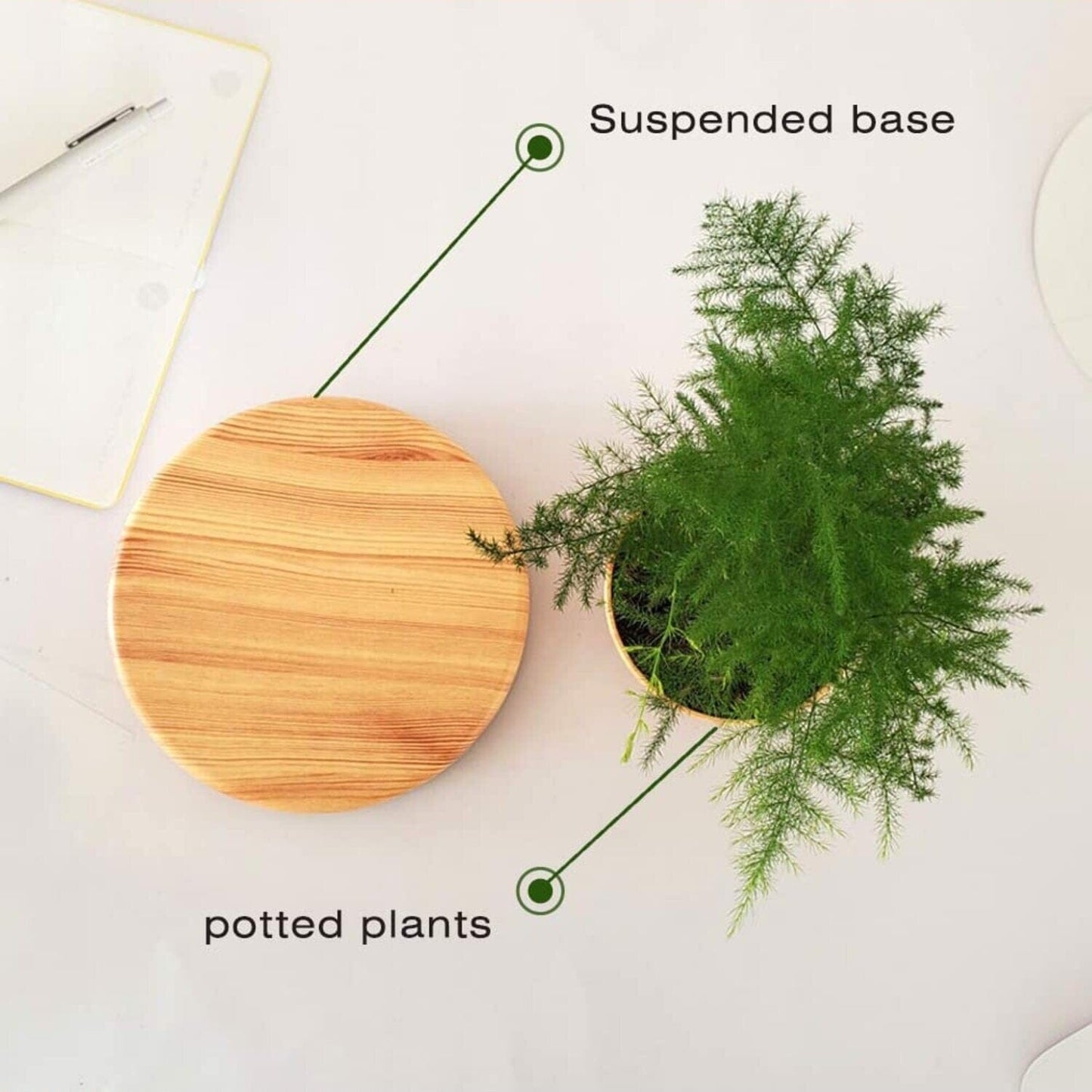 Magnetic Levitating Plant Pot Oak Home & Garden > Decor ArtificialPlantBarn.com.au 