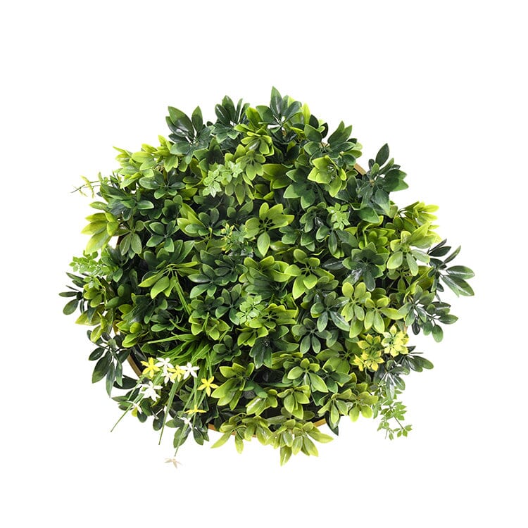 Artificial Green Wall Plant Garden Panel Daffodil Smile Disc Art 50cm Grassy UV Resistant Frame Home & Garden > Artificial Plants ArtificialPlantBarn.com.au 