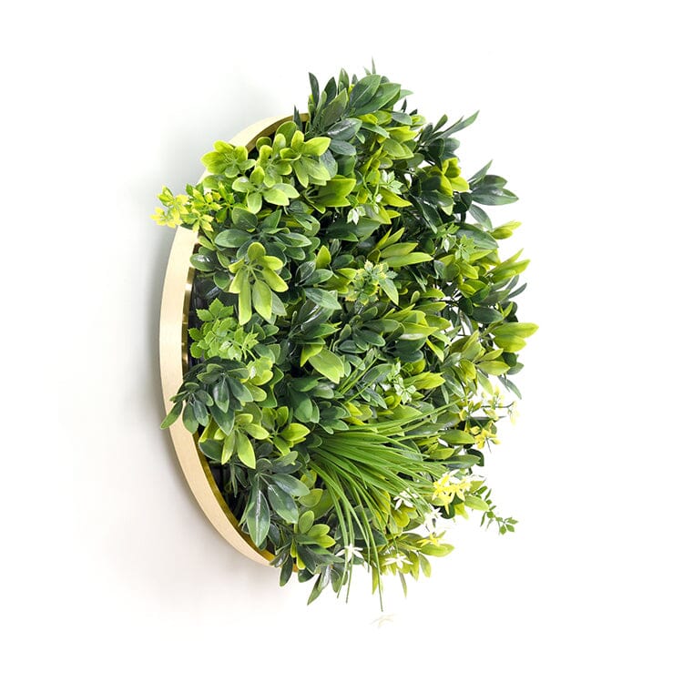 Artificial Green Wall Plant Garden Panel Daffodil Smile Disc Art 50cm Grassy UV Resistant Frame Home & Garden > Artificial Plants ArtificialPlantBarn.com.au 