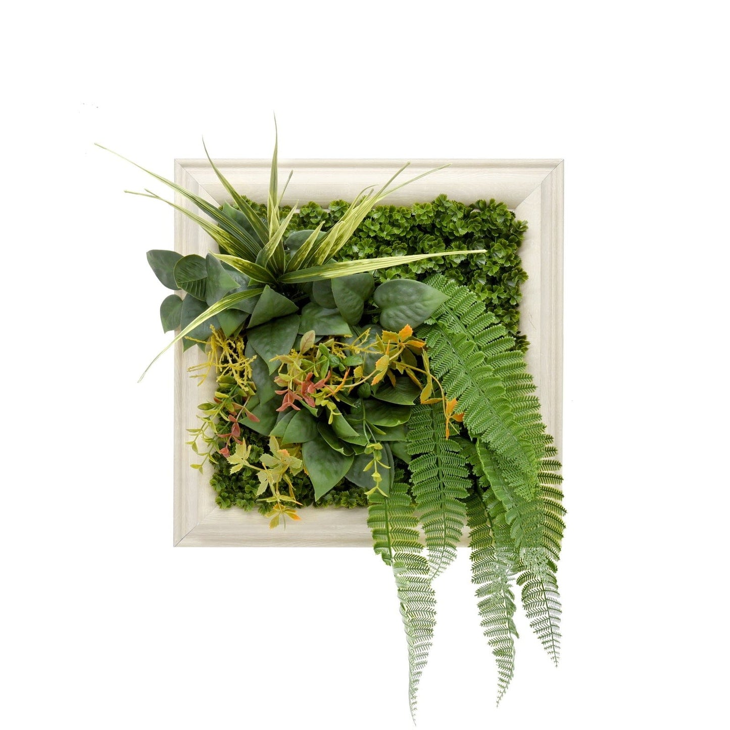 Green Artificial Plants Wall Panel Flower Wall With Frame Vertical Garden UV Resistant 33X33CM Home & Garden > Artificial Plants ArtificialPlantBarn.com.au 