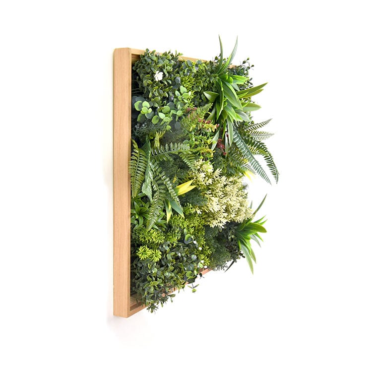 Artificial Plants Wall Panel With Frame Vertical Garden UV Resistant 50X50CM Home & Garden > Artificial Plants ArtificialPlantBarn.com.au 