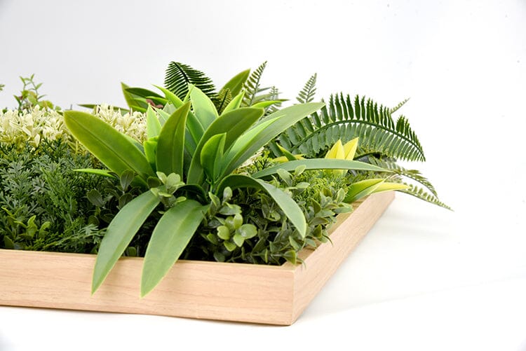 Artificial Plants Wall Panel With Frame Vertical Garden UV Resistant 50X50CM Home & Garden > Artificial Plants ArtificialPlantBarn.com.au 