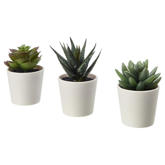 3 Pack of Artificial Succulent Potted Plants in White Plastic 6cm Pot Interior Decoration Home & Garden > Artificial Plants ArtificialPlantBarn.com.au 