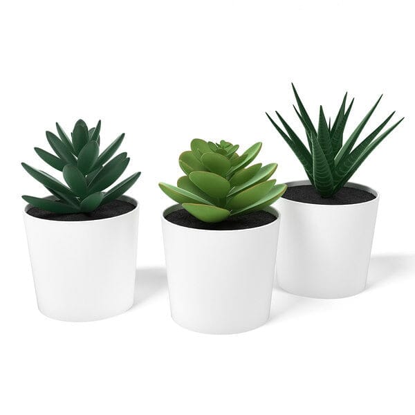 3 Pack of Artificial Succulent Potted Plants in White Plastic 6cm Pot Interior Decoration Home & Garden > Artificial Plants ArtificialPlantBarn.com.au 