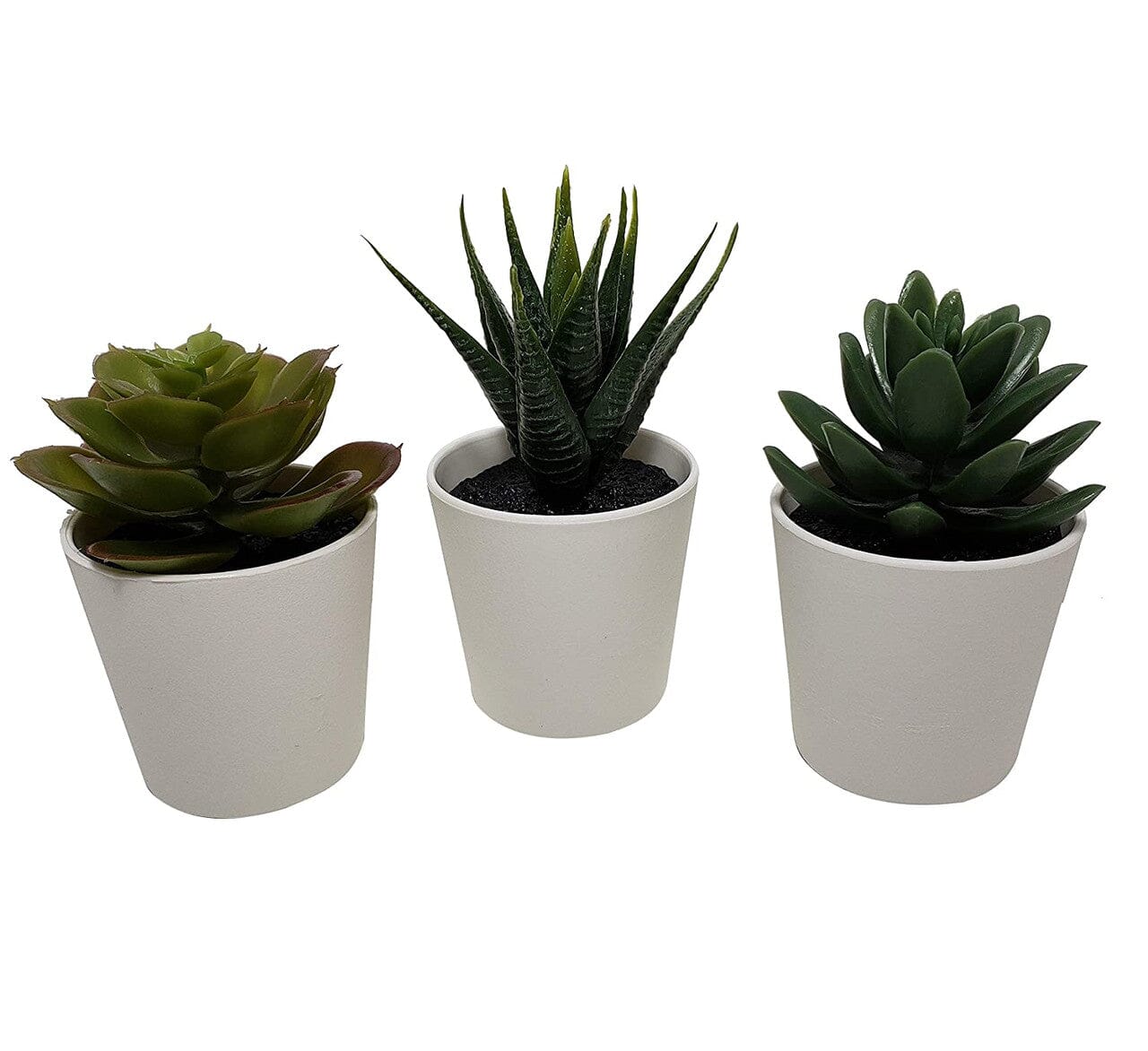 3 Pack of Artificial Succulent Potted Plants in White Plastic 6cm Pot Interior Decoration Home & Garden > Artificial Plants ArtificialPlantBarn.com.au 