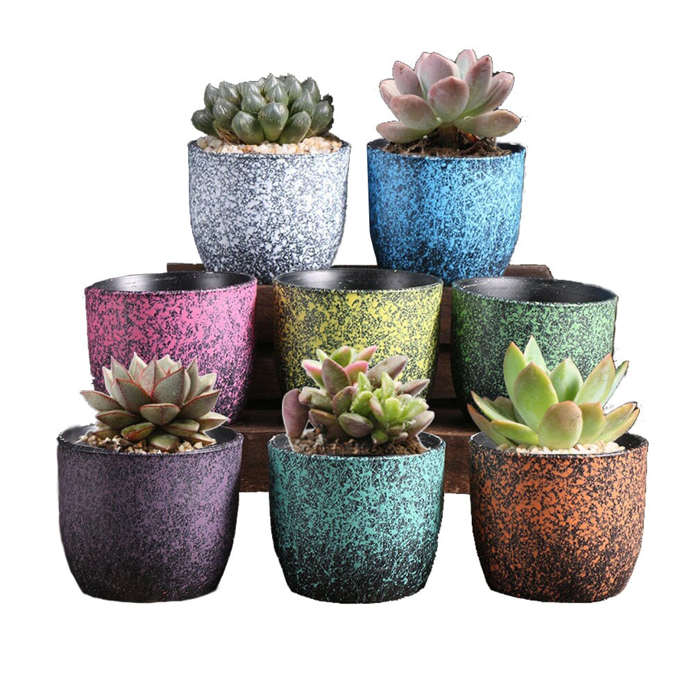 Ceramic Clay Pottery Pots Set Succulent Flower Planter Series 03(Style 01# 8 Pots Set) Home & Garden > Garden Tools ArtificialPlantBarn.com.au 