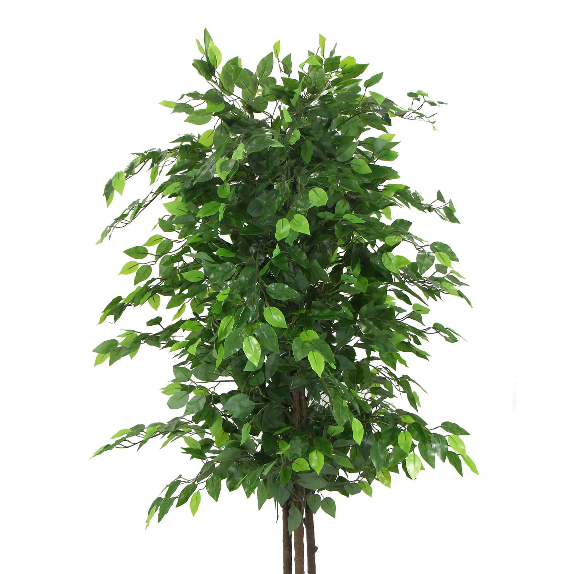 Artificial Ficus Tree 180cm Nearly Natural UV Resistant Home & Garden > Artificial Plants ArtificialPlantBarn.com.au 