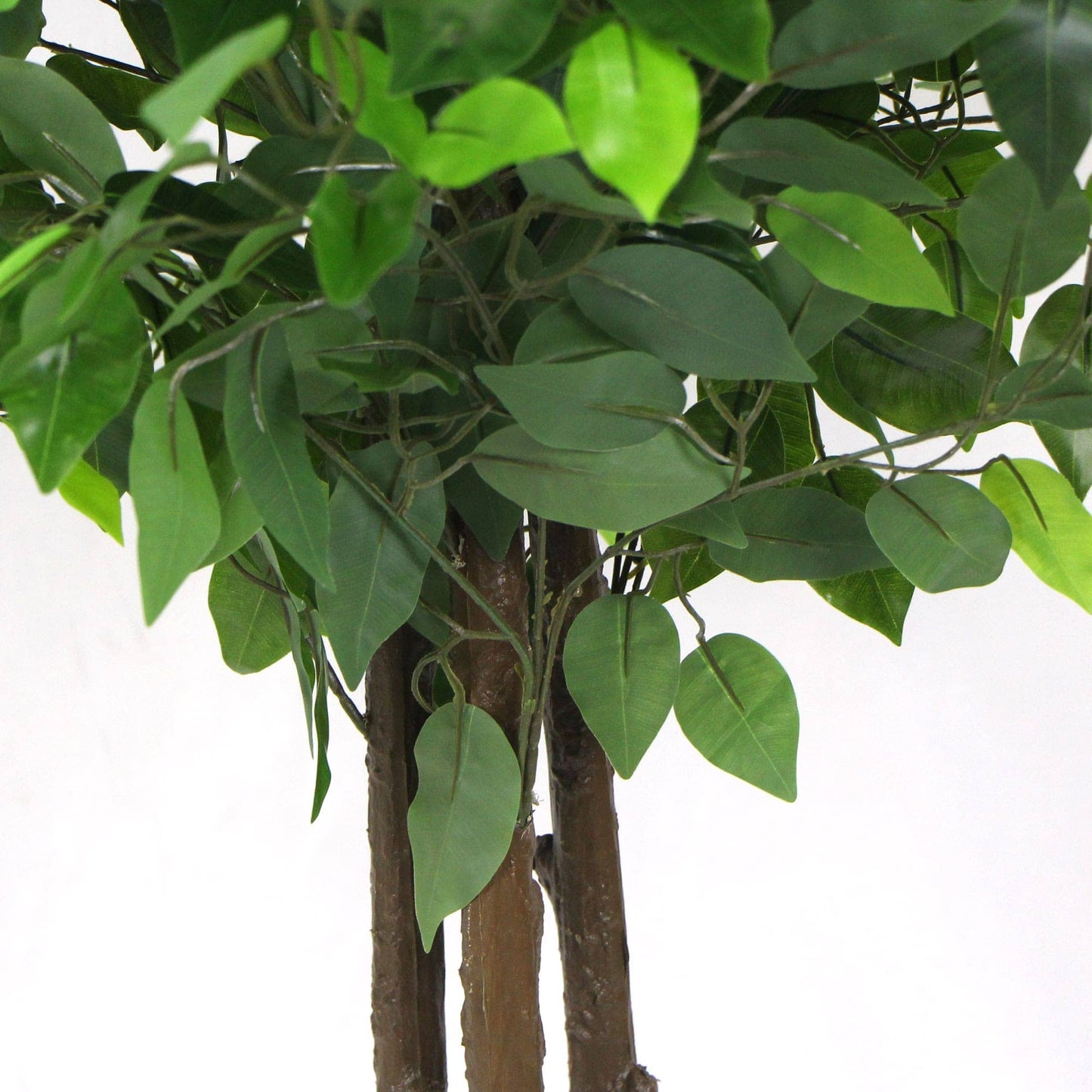 Artificial Ficus Tree 180cm Nearly Natural UV Resistant Home & Garden > Artificial Plants ArtificialPlantBarn.com.au 