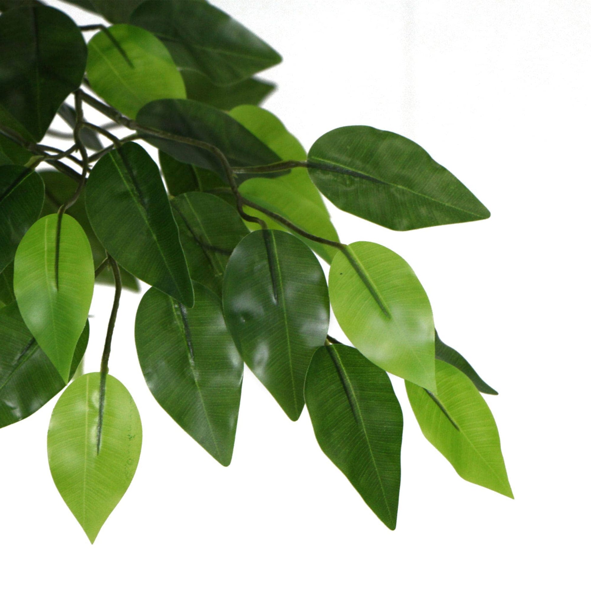 Artificial Ficus Tree 180cm Nearly Natural UV Resistant Home & Garden > Artificial Plants ArtificialPlantBarn.com.au 