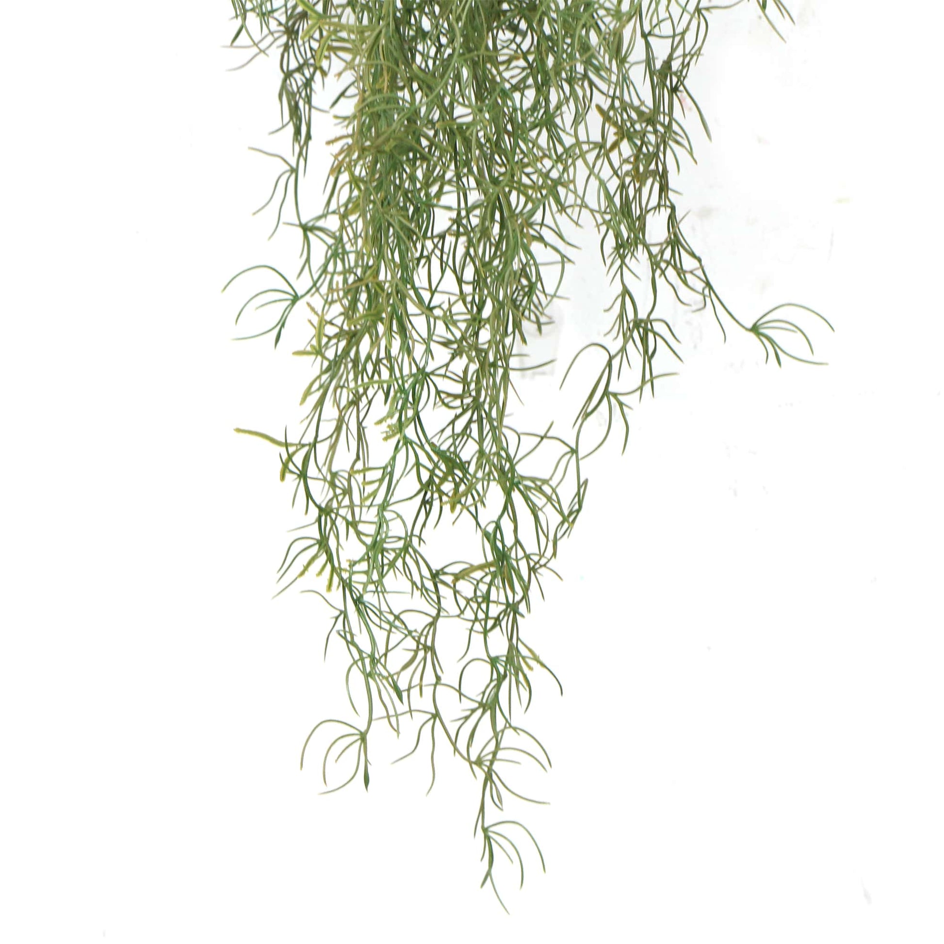 Artificial Air Plant Spanish Moss UV Resistant 100cm Home & Garden > Home & Garden Others ArtificialPlantBarn.com.au 