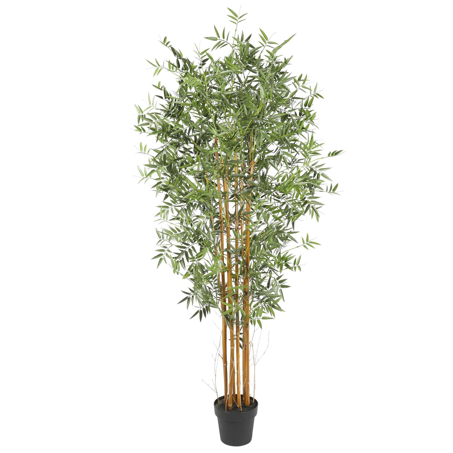 Premium Natural Cane Artificial Bamboo (UV Resistant) 180cm Home & Garden > Artificial Plants ArtificialPlantBarn.com.au 