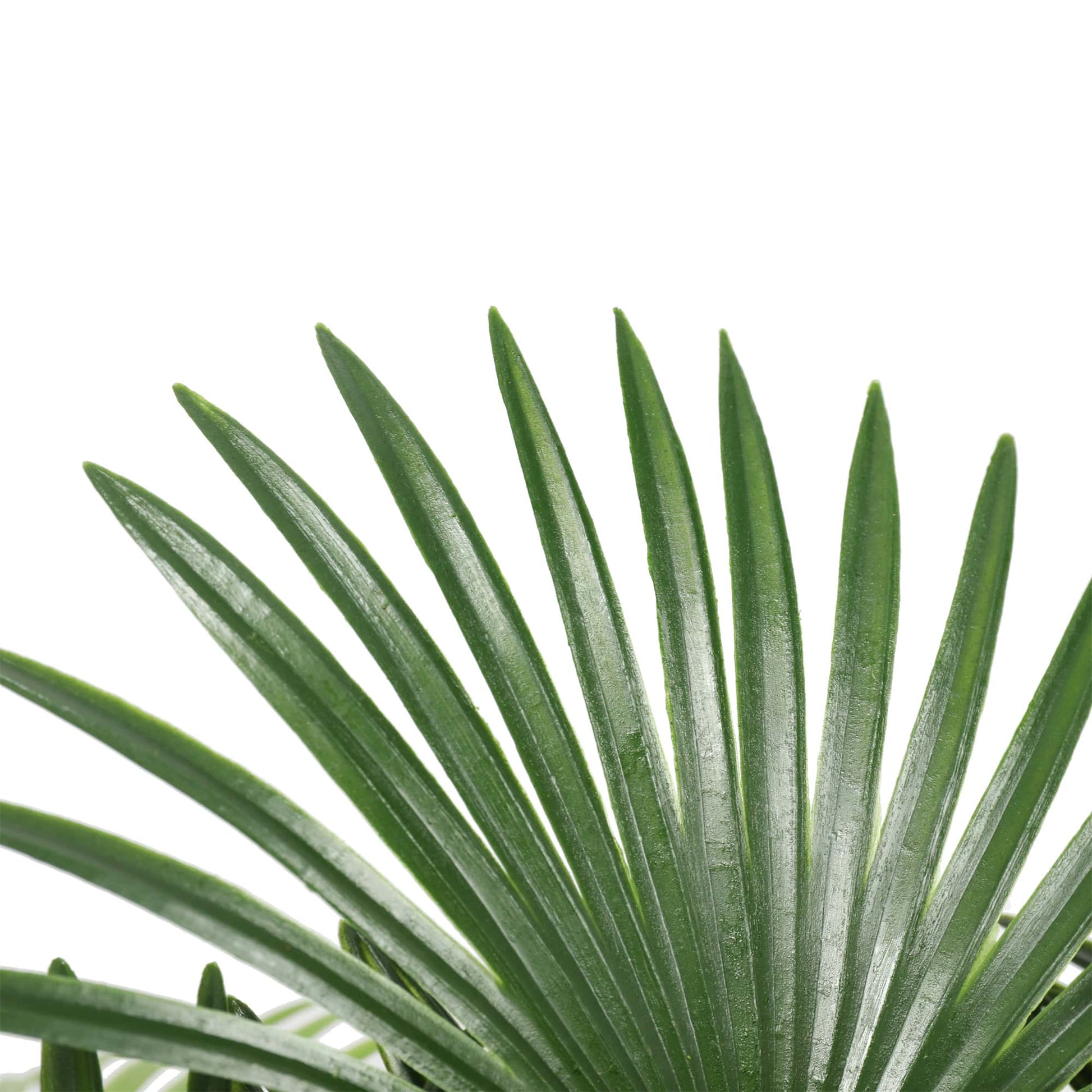 Artificial Wide Leaf Fan Palm Tree 90cm Home & Garden > Artificial Plants ArtificialPlantBarn.com.au 