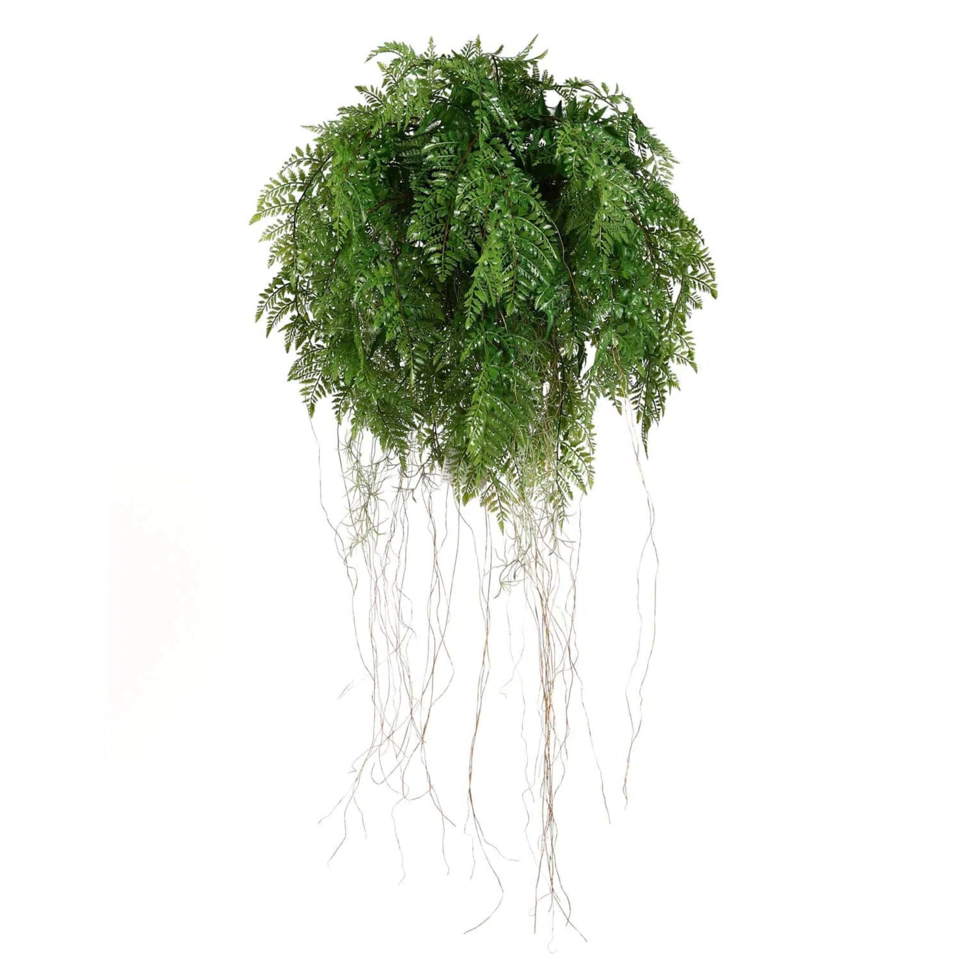 Large Lush Tropical Hanging Fern Ball 55cm Diameter Home & Garden > Home Office Accessories ArtificialPlantBarn.com.au 