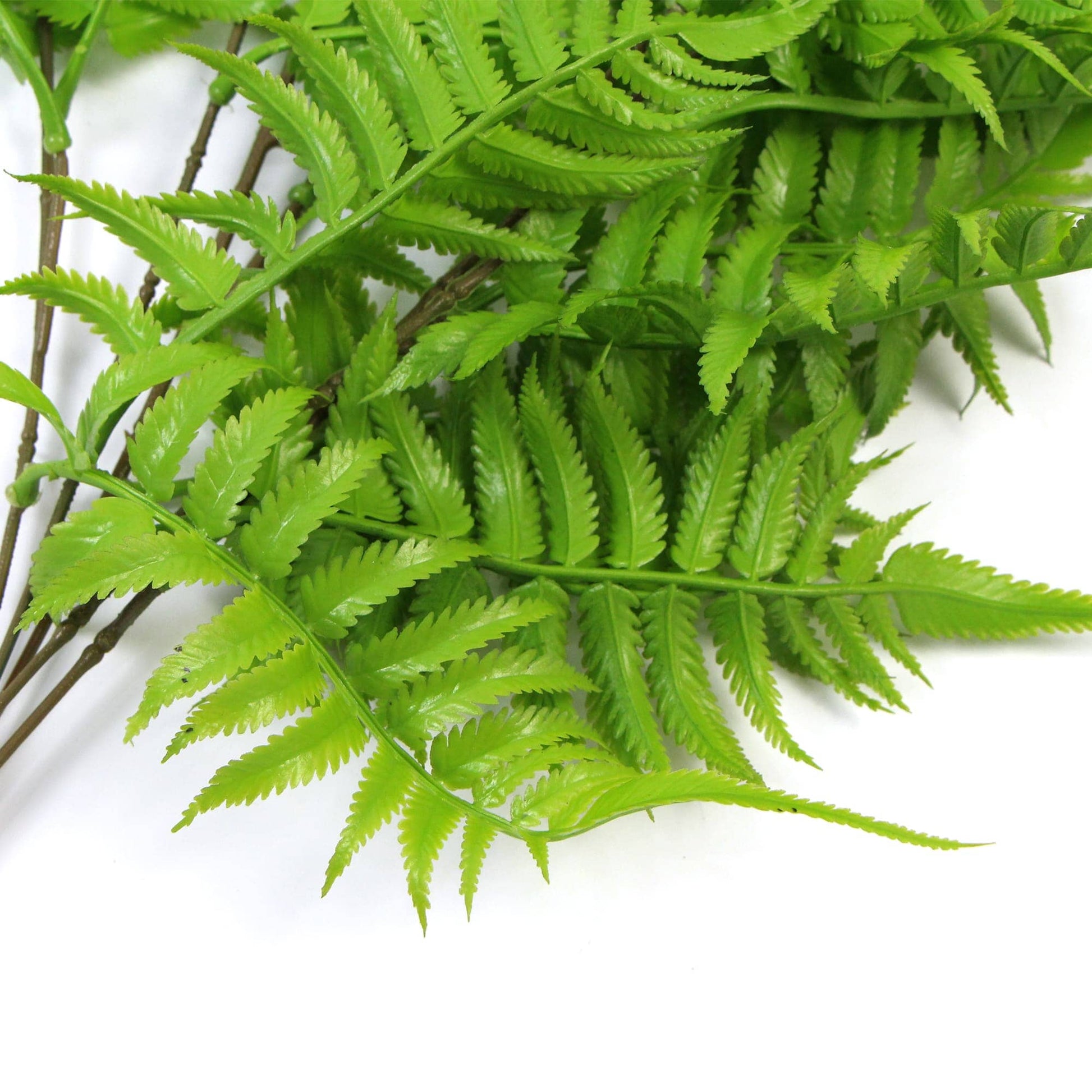 Artificial Hanging English Fern (Two-Tone) Foliage UV Resistant 80cm Home & Garden > Home & Garden Others ArtificialPlantBarn.com.au 